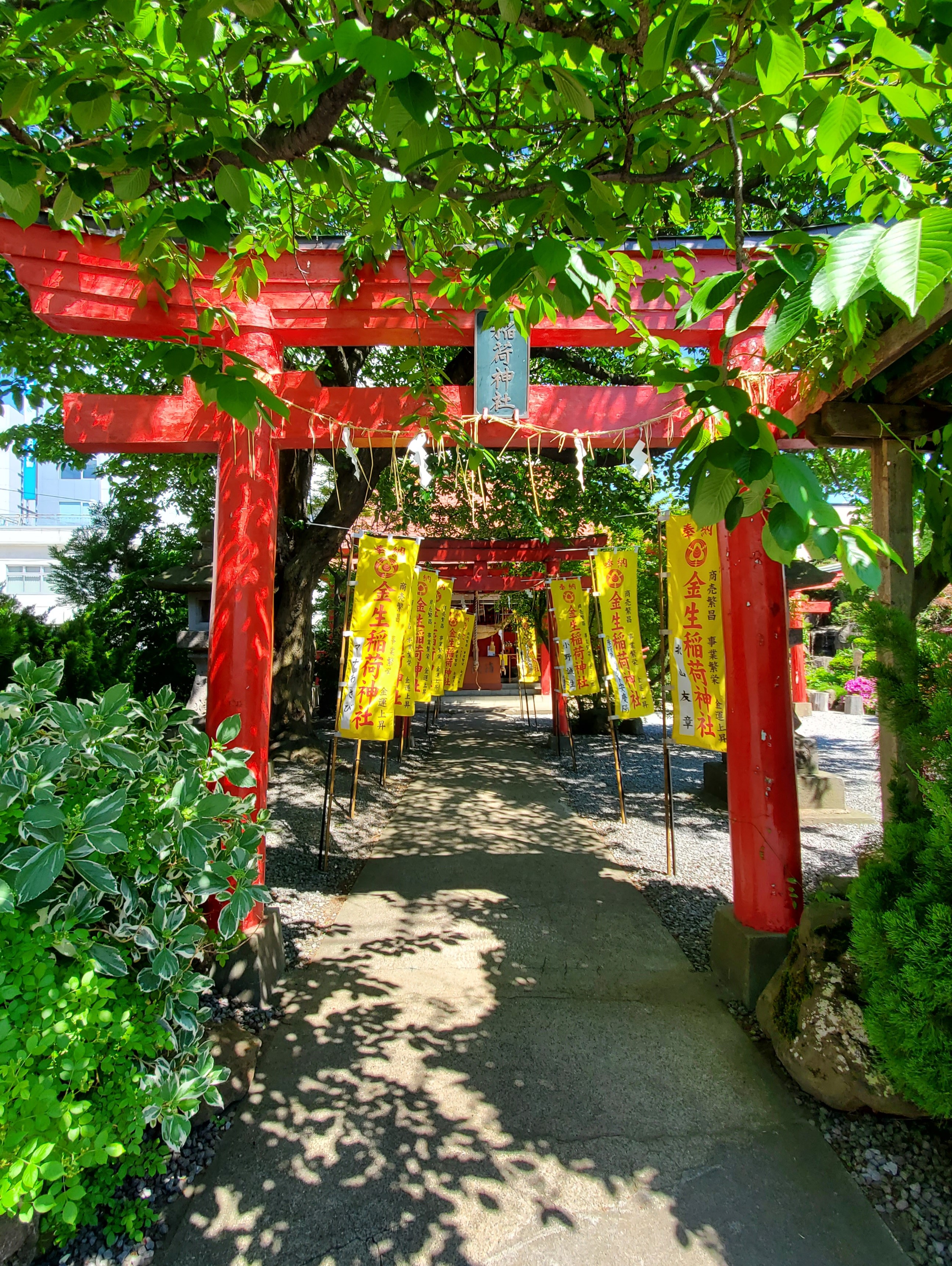 津軽龍神霊場：廣田神社 善知鳥神社に並ぶ市内でも屈指の古社 | おん