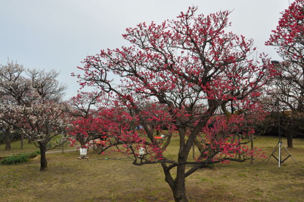 内山邸