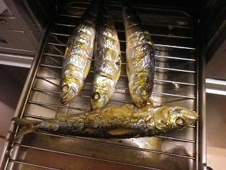 猫用鰯1202.JPG