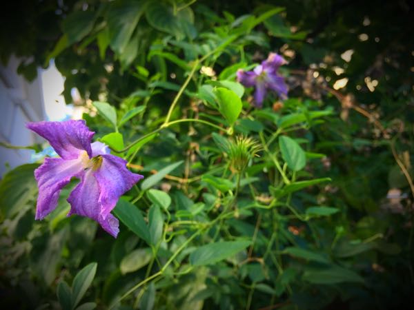 rblog-20160731173203-03.jpg