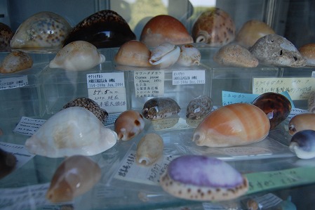 s-DSC_0357.jpg