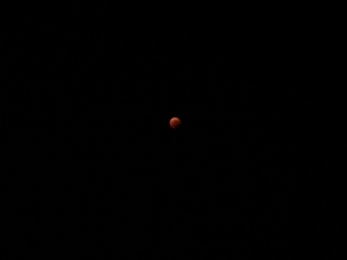 DSCF0063.JPG