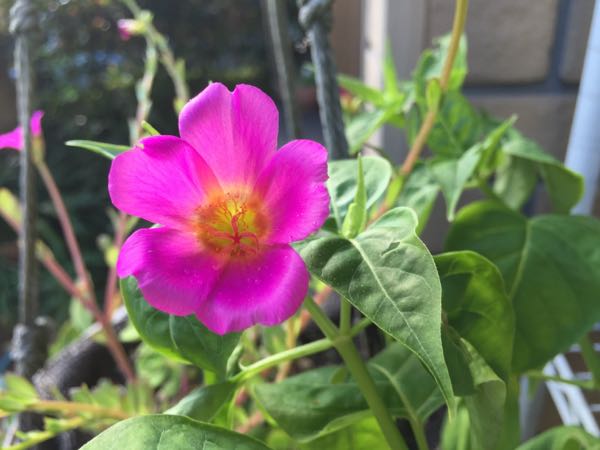 rblog-20160731173757-06.jpg