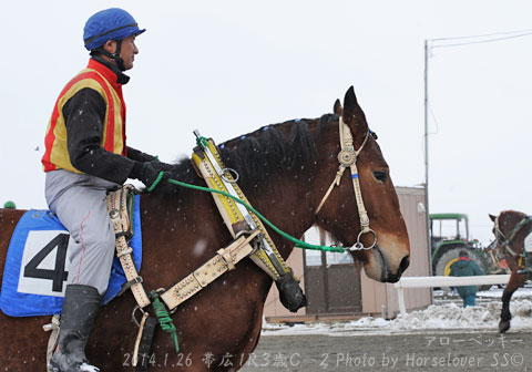 04ArrowBeckie012614Ob1R_01