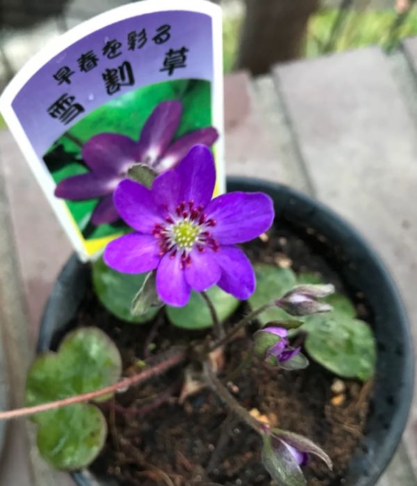 rblog-20180328191025-08.jpg