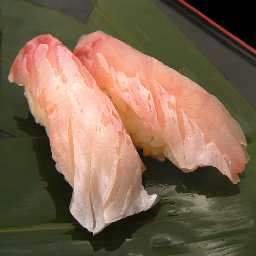 マハタ　魚　寿司.jpg