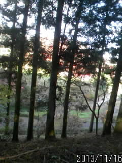 まっつぐな道４