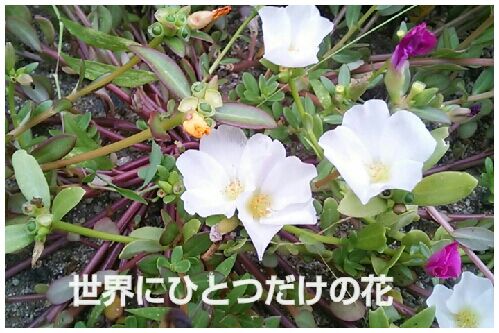 rblog-20160809194742-00.jpg