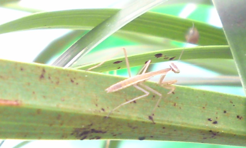 120603_1620~02.jpg