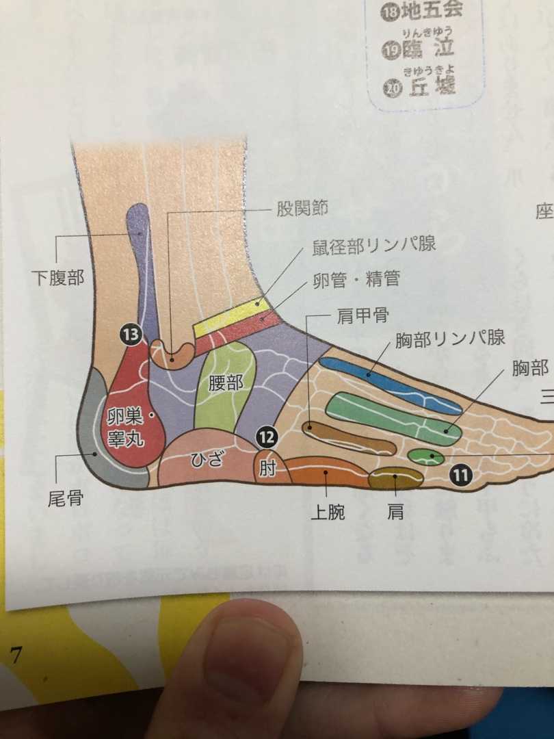 ダンサーによる足ツボ 石守俊輝 Molee のブログ 楽天ブログ