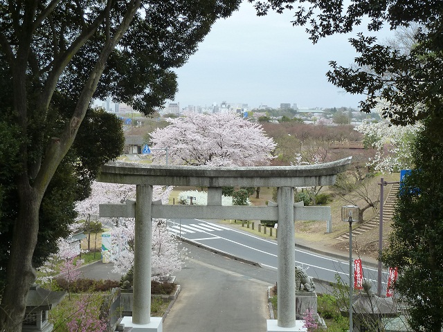 2015桜山 012.JPG