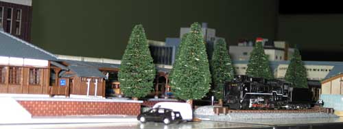 IMG_6259.jpg
