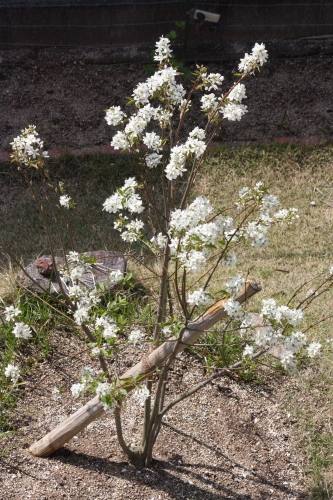 20160423001.JPG
