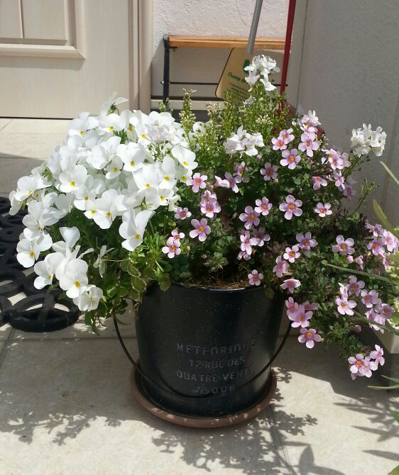 rblog-20140624000818-03.jpg