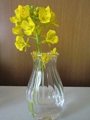s-20120315-2.jpg
