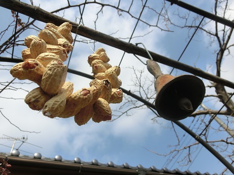 ピーナッツリース