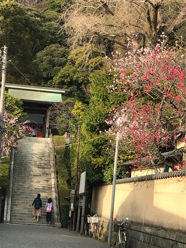 rblog-20180329185812-07.jpg