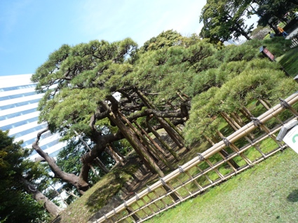 2012.04.15浜離宮庭園11.jpg