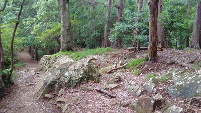 岩場２