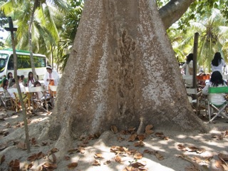 RIMG0288.jpg