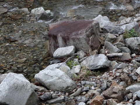 DSC00725.JPG