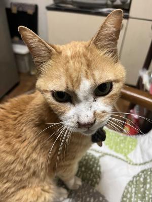 田中優子です 田中優子 (@yukotanaka0531) / Posts and Replies / X