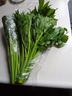 DSC03909.jpg