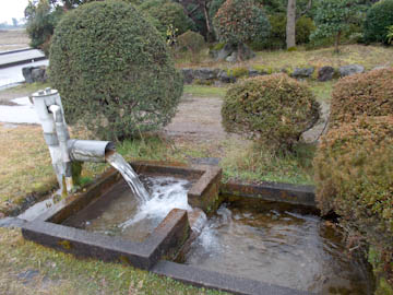 DSCN2184-29.JPG