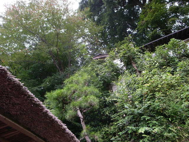 RIMG22742.JPG