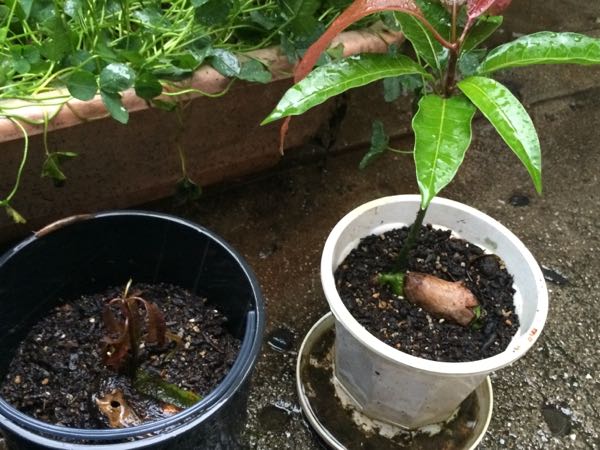 rblog-20171022083114-03.jpg