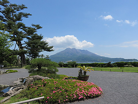 IMG_1370.jpg