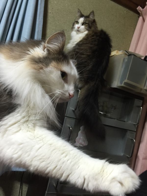 rblog-20151213120520-05.jpg