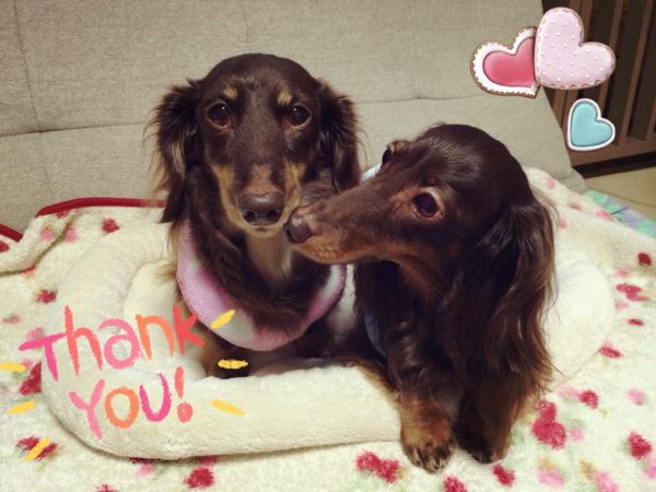 rblog-20140314124545-03.jpg