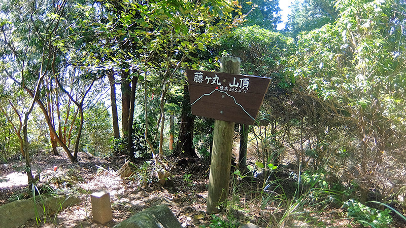 藤ヶ丸山１