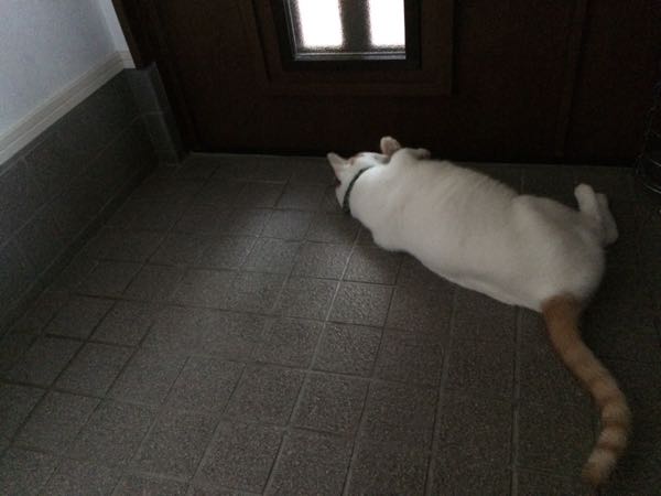 rblog-20151009062646-02.jpg