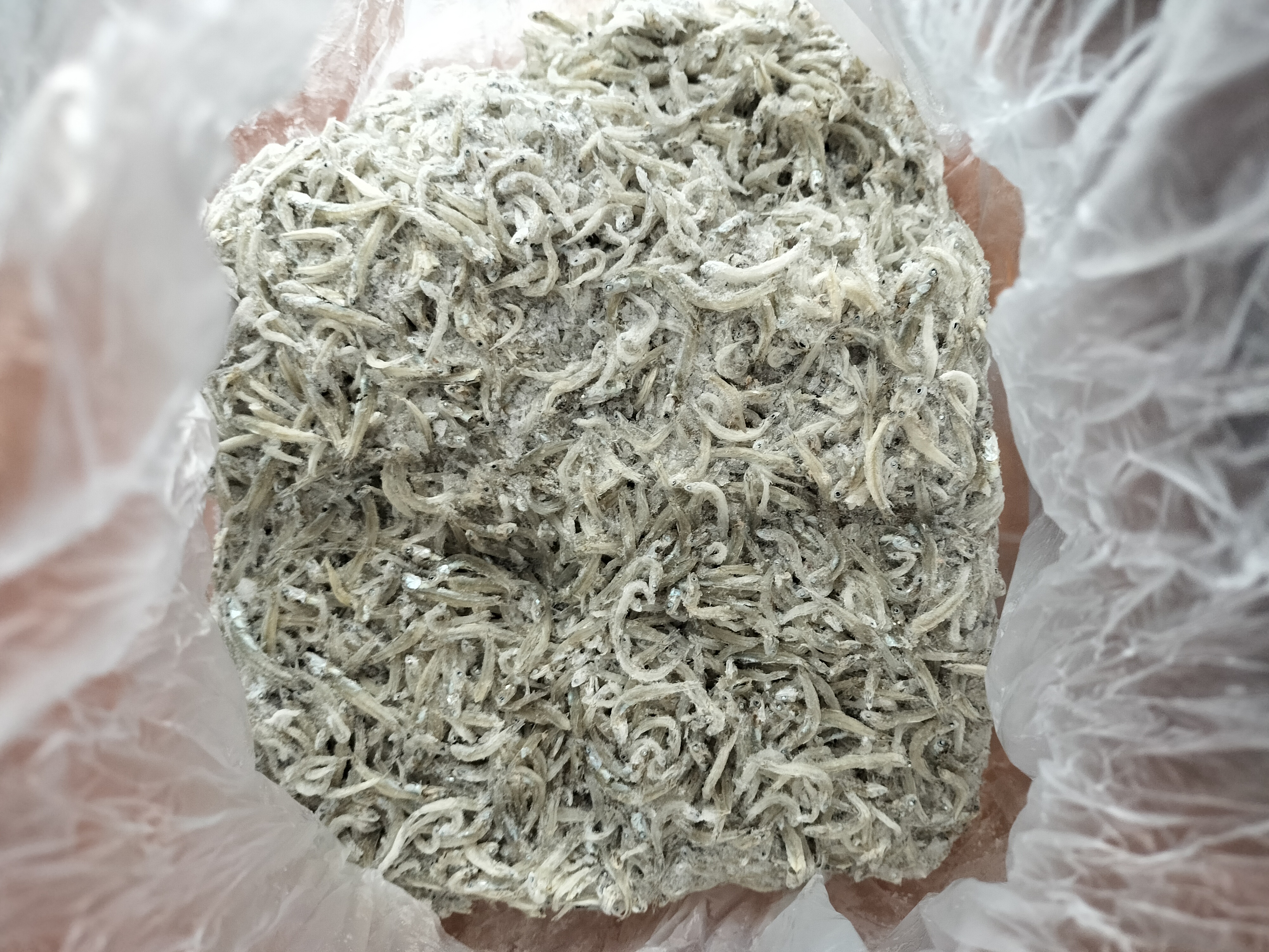しらすさん専用 釜揚げしらす150g(4p)/てんおー醤油 | [和歌山]釜揚げしらすと