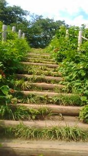 丸墓山古墳の階段３