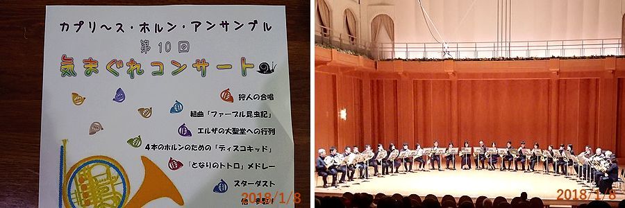 １／８ホルン合奏.jpg
