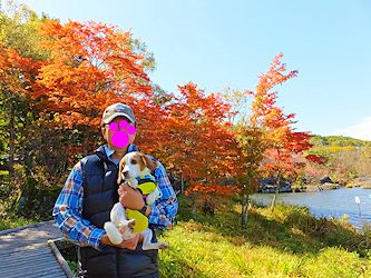 20171009色づき