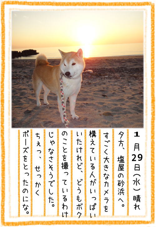 0129夕2.jpg