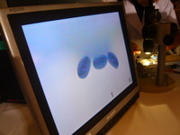 P1130335