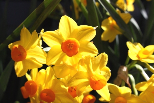 20160321006.jpg