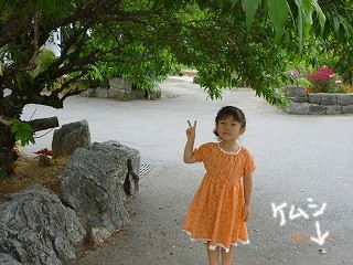 011.jpg
