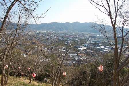 DSC_1190.jpg