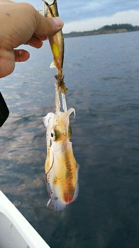 rblog-20180917170321-01.jpg