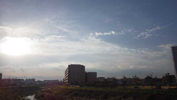 20141117朝4.jpg