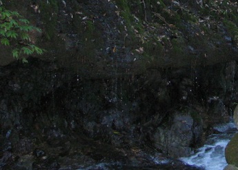 IMG_6831.jpg