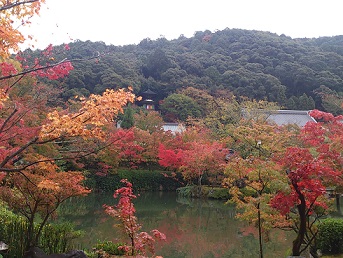 DSC_1951 - コピー.jpg