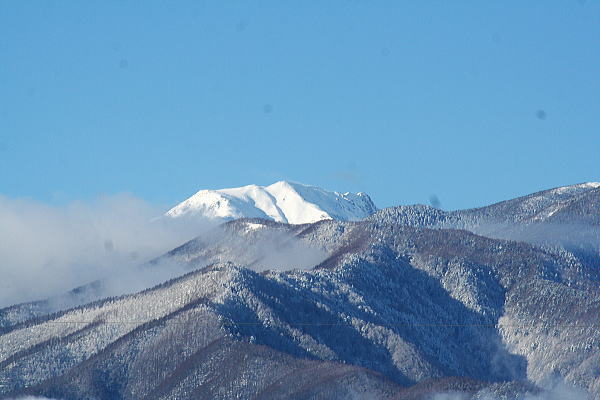 n5.jpg