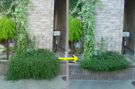 DSC01175-1.JPG